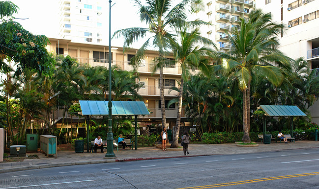 Kuhio Garden in Honolulu, HI - Building Photo - Building Photo