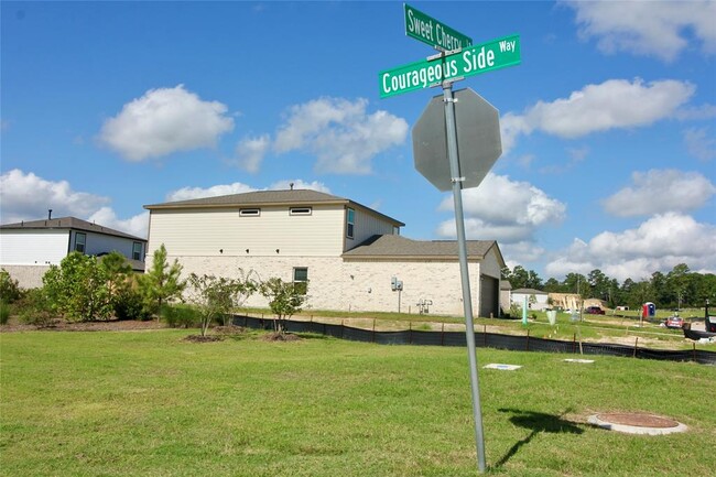 8411 Sweet Cherry Ln in Magnolia, TX - Building Photo - Building Photo