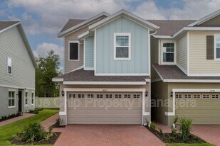 34202 Rogallo Ln in Wesley Chapel, FL - Building Photo