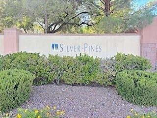 300 Pine Haven St in Las Vegas, NV - Building Photo