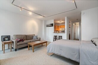 1030 N State St, Unit 2F in Chicago, IL - Building Photo - Building Photo