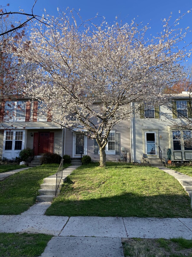 9006 Old Scaggsville Rd in Laurel, MD - Building Photo - Building Photo