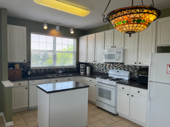 870 June Ter in Lake Zurich, IL - Building Photo - Building Photo