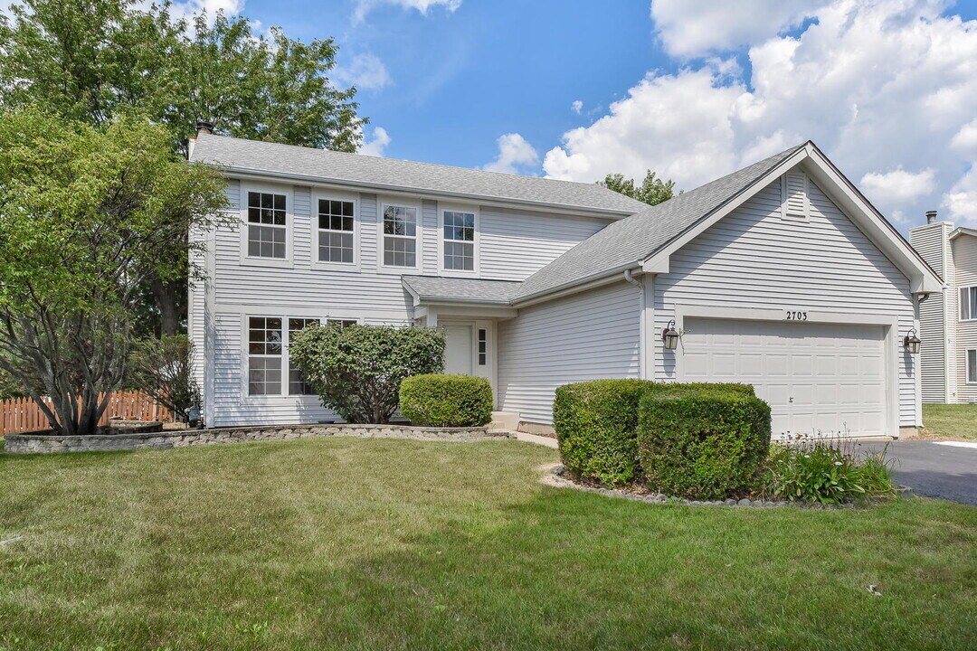 2703 Bluewater Cir in Naperville, IL - Building Photo