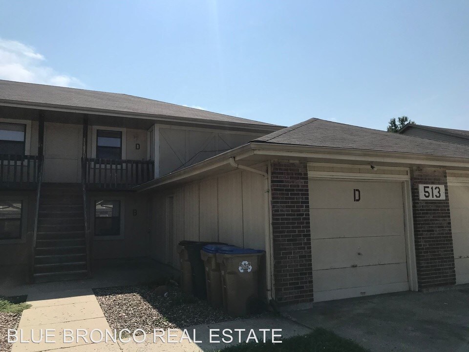 513 Sky Vue Dr in Raymore, MO - Building Photo