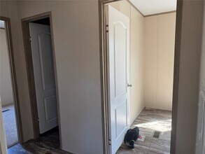 37019 Gossamer Ln in Magnolia, TX - Building Photo - Building Photo