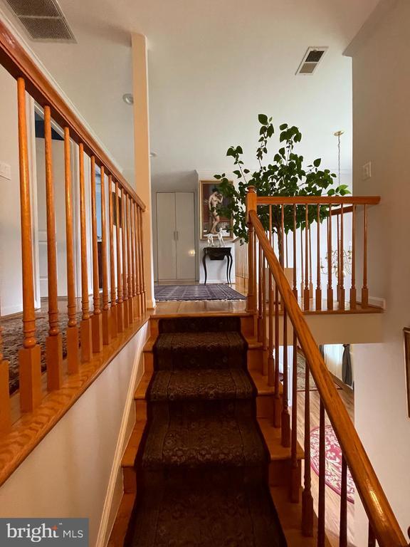 3724 Munson Rd in Falls Church, VA - Building Photo - Building Photo