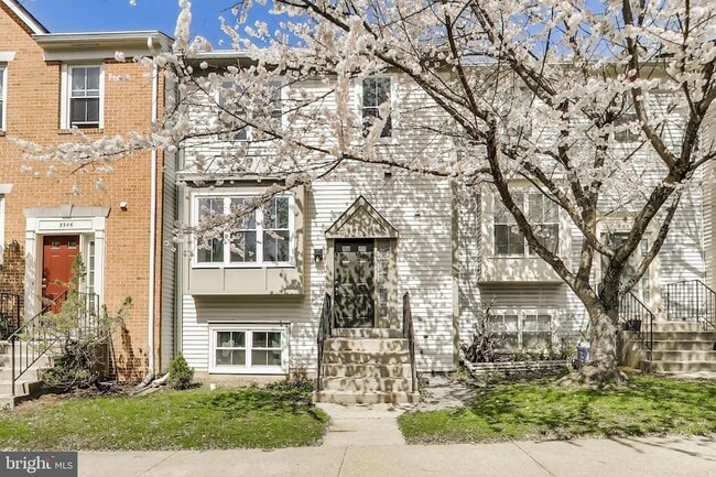 3548 Softwood Terrace in Olney, MD - Building Photo - Building Photo