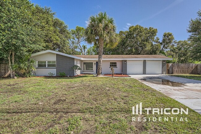1556 Barry Rd in Clearwater, FL - Building Photo - Building Photo