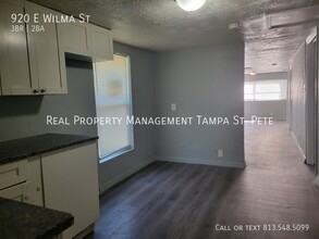 920 E Wilma St in Tampa, FL - Building Photo - Building Photo