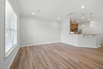 21136 Annabelle Pl in Charlotte, NC - Building Photo - Building Photo