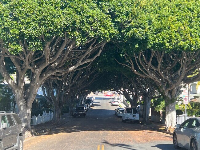 721 Cedar St in Santa Monica, CA - Foto de edificio - Building Photo