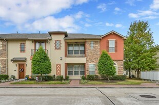 14557 San Pietro Dr in Houston, TX - Building Photo