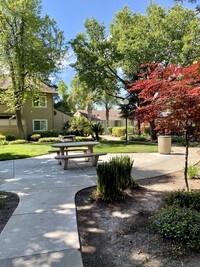 Valley Oak Apartments in Modesto, CA - Building Photo - Building Photo