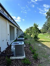 10288 Trumpet Honeysuckle Wy in San Antonio, FL - Building Photo - Building Photo