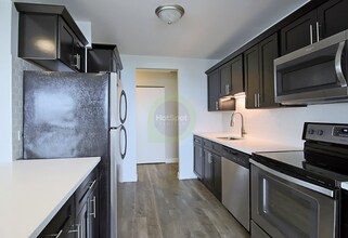 85 E 11th St in Chicago, IL - Foto de edificio - Building Photo