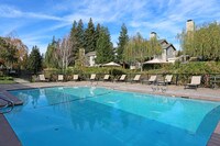 South Lake Pool - Amador Lakes Apartments in Dublin, California