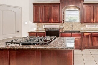 12406 Santiago Cove Ln in Houston, TX - Building Photo - Building Photo