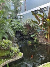 1030 Aoloa Pl in Kailua, HI - Building Photo - Building Photo