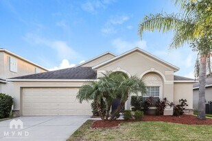 10313 Summer Azure Dr in Riverview, FL - Building Photo