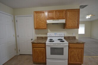 432a Birchwood St in Rogersville, MO - Building Photo - Building Photo