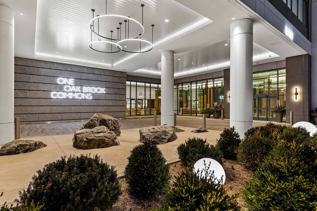 One Oak Brook Commons in Oak Brook, IL - Foto de edificio