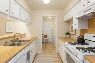 1202 Dobie Dr in Austin, TX - Building Photo - Building Photo