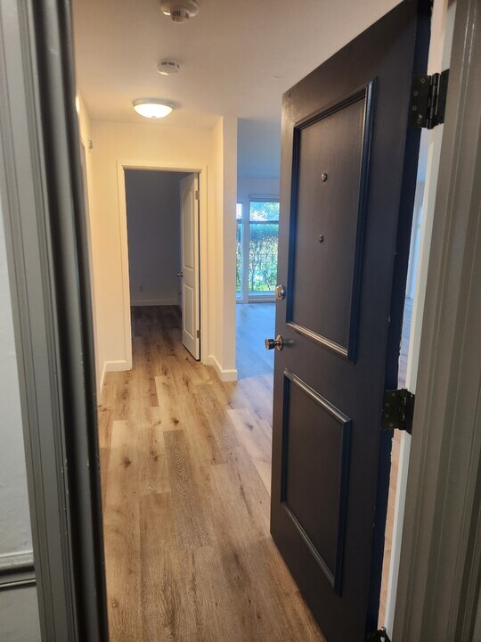 259 Eden Roc Dr in Sausalito, CA - Building Photo