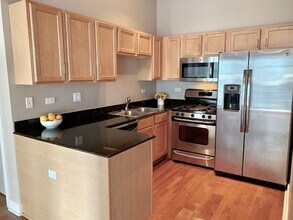 1305 S Michigan Ave in Chicago, IL - Foto de edificio - Building Photo