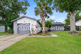 11507 Smokethorn Dr in Riverview, FL - Building Photo