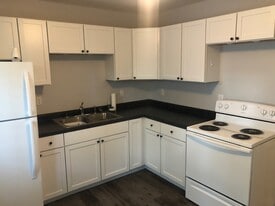 305 N Butler St in Lincoln, IL - Building Photo