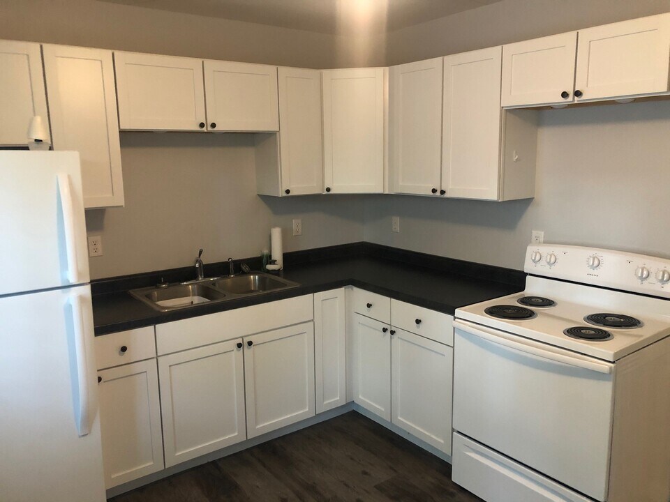 305 N Butler St in Lincoln, IL - Building Photo