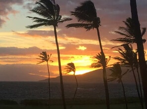 938 S Kihei Rd, Unit ID1370210P in Kihei, HI - Building Photo - Building Photo