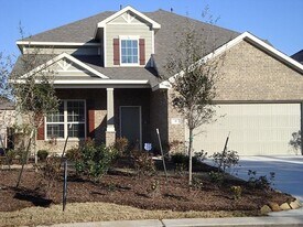 6 Picture Rock Pl in The Woodlands, TX - Building Photo