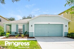 7105 Early Gold Ln in Riverview, FL - Building Photo