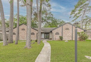 16911 Summit Oaks Ln in Spring, TX - Building Photo