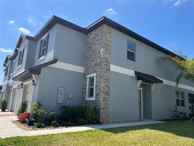 30813 Veridian Wy in Wesley Chapel, FL - Building Photo - Building Photo
