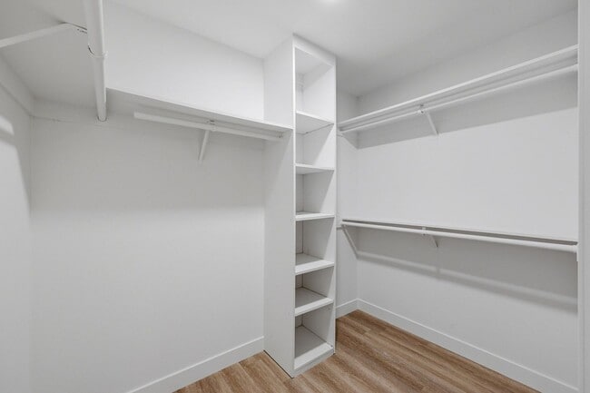 33651 Surfside Dr in Dana Point, CA - Building Photo - Building Photo