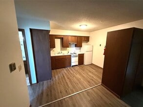 519 S Dodge St in Iowa City, IA - Building Photo - Building Photo