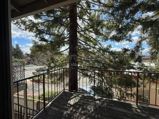 38561 Princeton Terrace in Fremont, CA - Building Photo - Building Photo