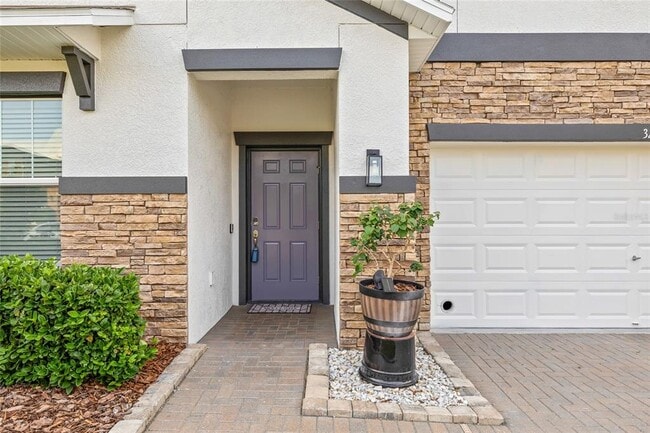 3212 Calvano Dr in Land O Lakes, FL - Building Photo - Building Photo