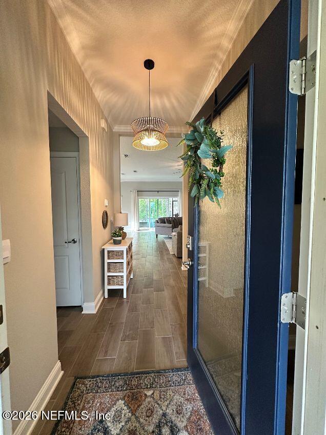 117 Dovetail Cir in St. Augustine, FL - Building Photo - Building Photo