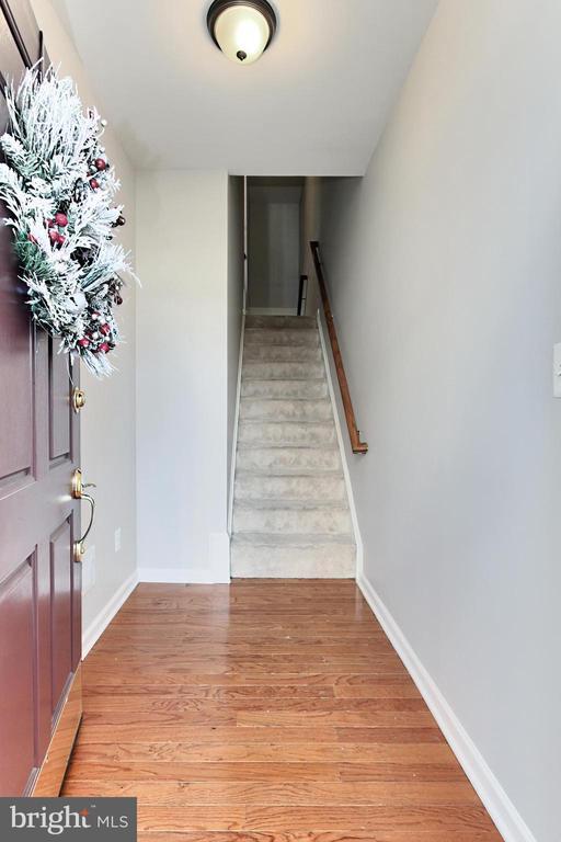 20384 Bass Rocks Terrace in Ashburn, VA - Building Photo - Building Photo