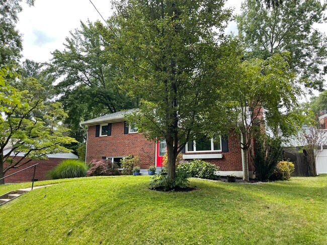 4810 Mori Dr in Rockville, MD - Building Photo - Building Photo