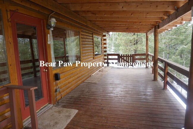 347 Gold Flake Terrace in Bailey, CO - Building Photo - Building Photo