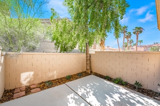 2813 Misty Grove Dr in Henderson, NV - Building Photo - Building Photo