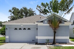 6646 Summer Cove Dr in Riverview, FL - Building Photo