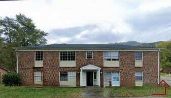 411 Elm Ave in Jasper, TN - Building Photo