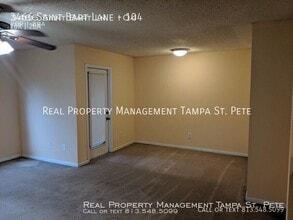 3466 St Bart Ln in Tampa, FL - Building Photo - Building Photo