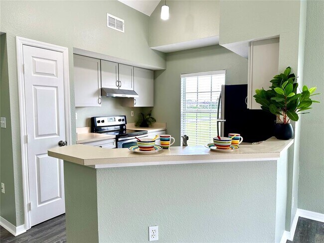 10534 White Lake Ct in Tampa, FL - Building Photo - Building Photo